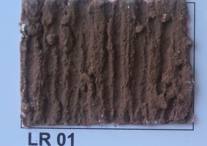 LR 01