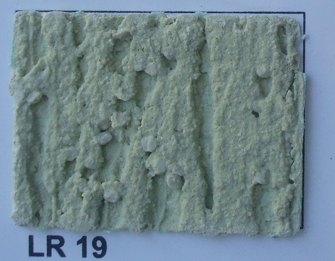 LR 19