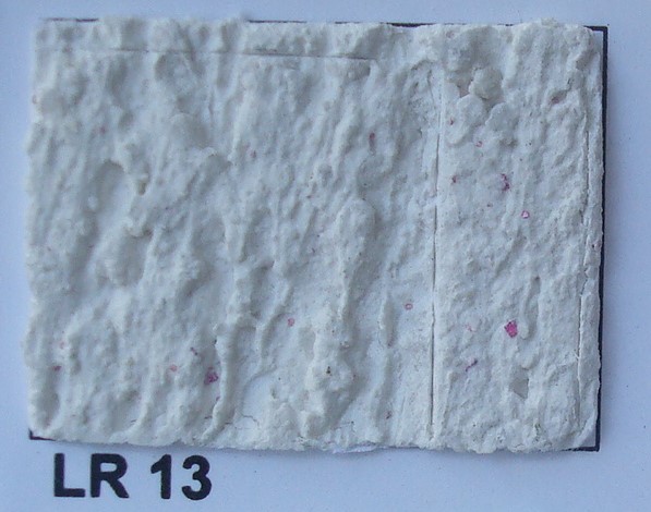 LR 13