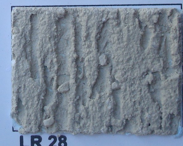 LR 28