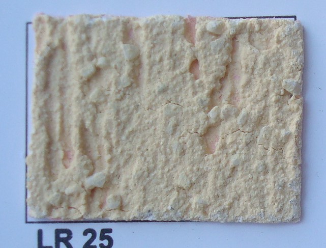 LR 25